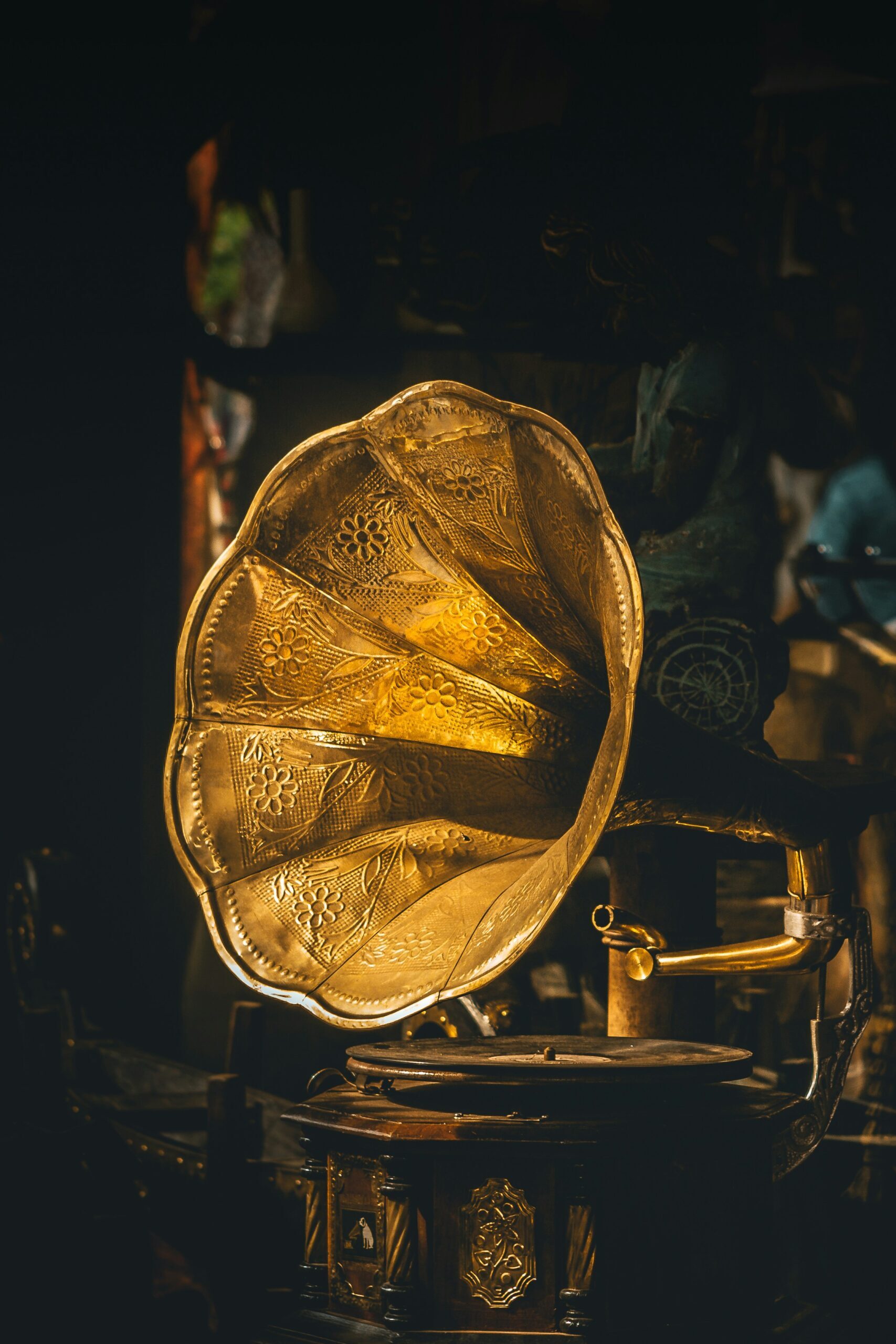 High quality output of all Tribe 500 members